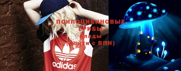 mix Лабытнанги