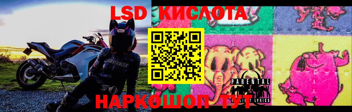 Шебекино  ЛСД экстази кислота  ЛСД экстази ecstasy  Лсд 25 экстази  Вход с VPN 