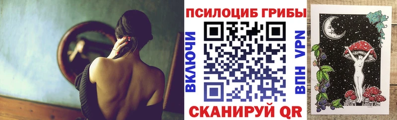 гидра tor  Шебекино  Псилоцибиновые грибы Cubensis 