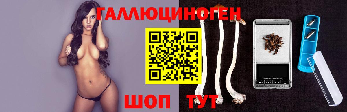 Псилоцибиновые грибы прущие грибы  Вход с VPN  Шебекино 
