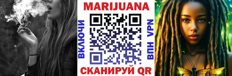 Канабис семена  Шебекино 